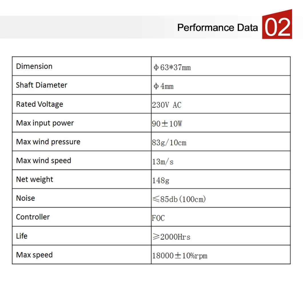 230V BLDC Motor for Hair Dryer