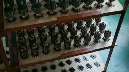 Подъемные ворота 12-48 В PMDC Электрический двигатель постоянного тока для производства соевого молока